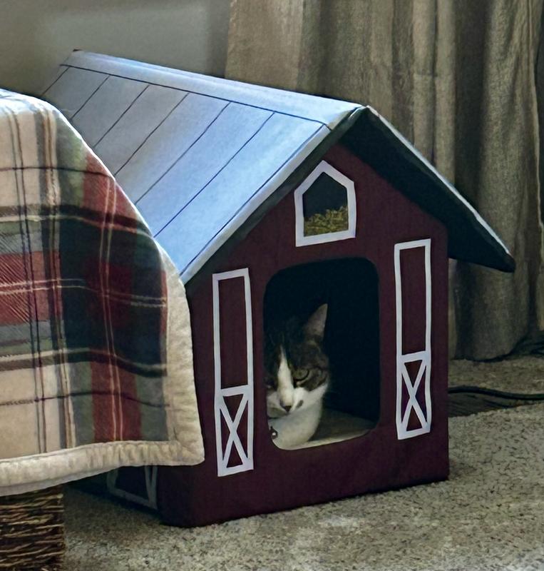 Chewy outdoor clearance heated cat house