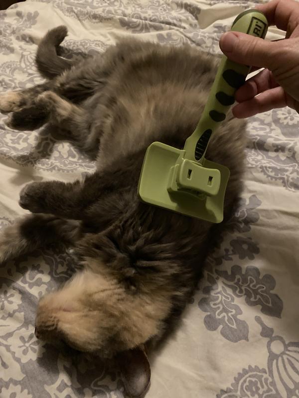 Cattasaurus Self-Cleaning Brush™