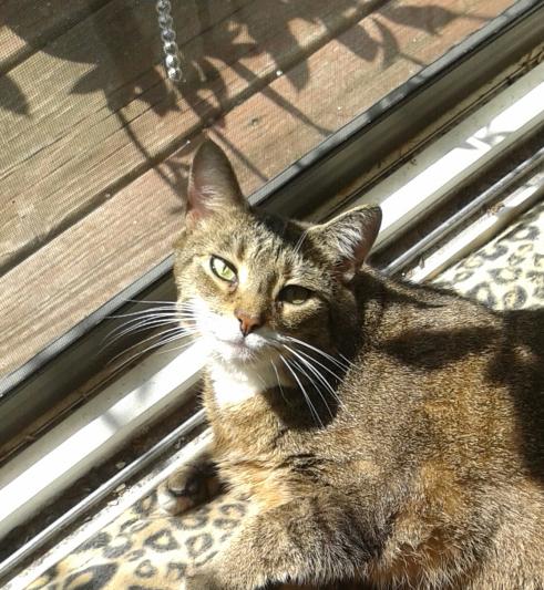 Our beautiful girl who loved these rip trinity
