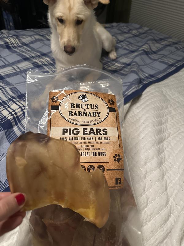 Maybe 5’/6’ wide and 3’/4’ inches tall