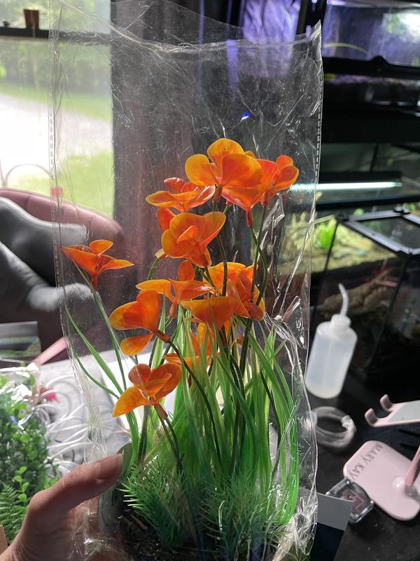 Doesn’t look same as pic