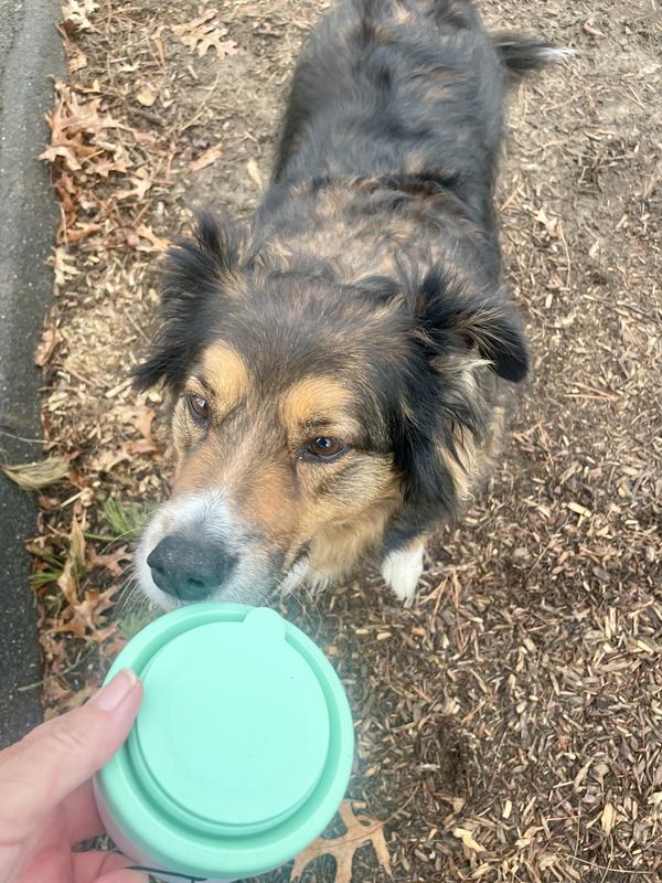 Treats and poop bags gotta have for all my adventures with my girl