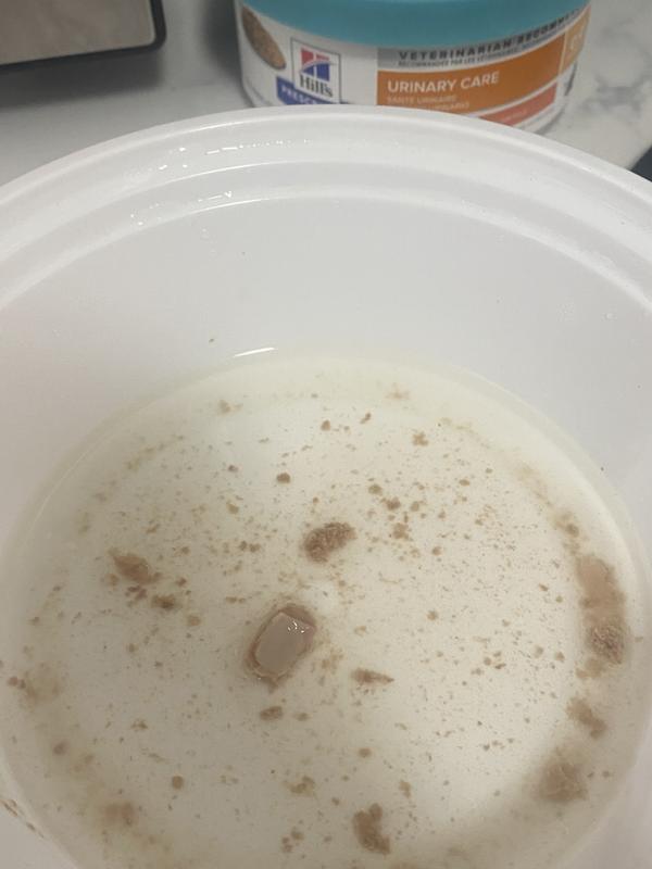 Is this supposed to be in pâté?