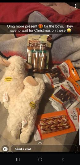 Loving all his treats and toys! Thanks Chewy!