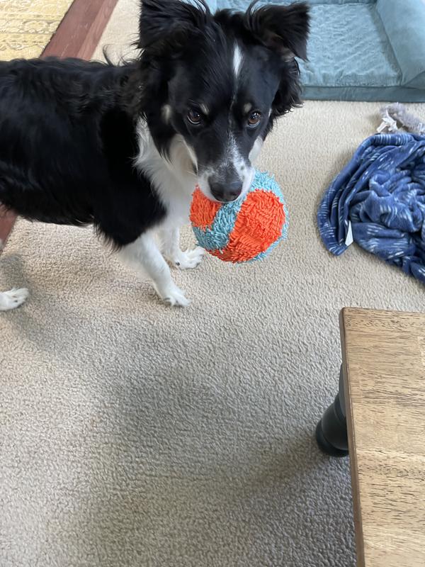 Rosie's favorite ball.