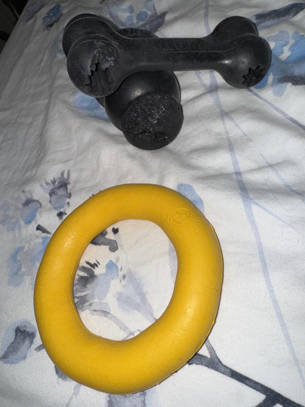 Beats the ‘Tough Chewers’ Kong chew toys