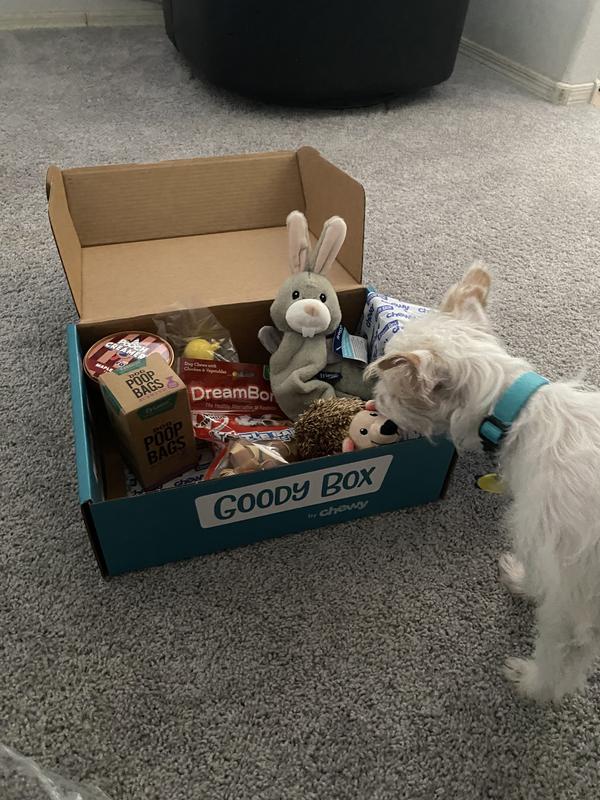 GOODY BOX Puppy Toys Treats Potty Training reviews Chewy