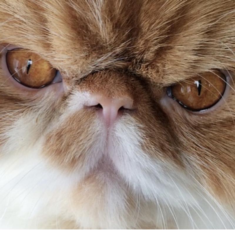 He’s never looked happier