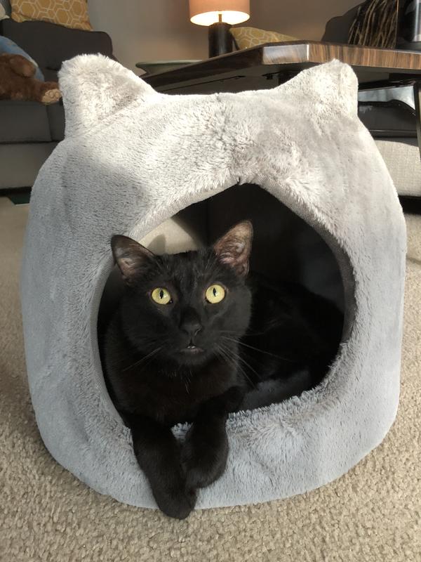 Meow hut cat bed sale