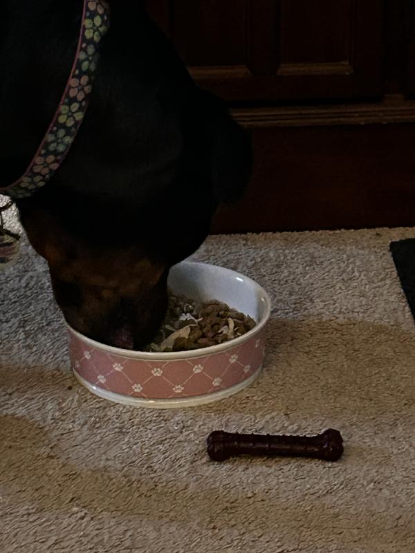 Harley-she’s a picky eater