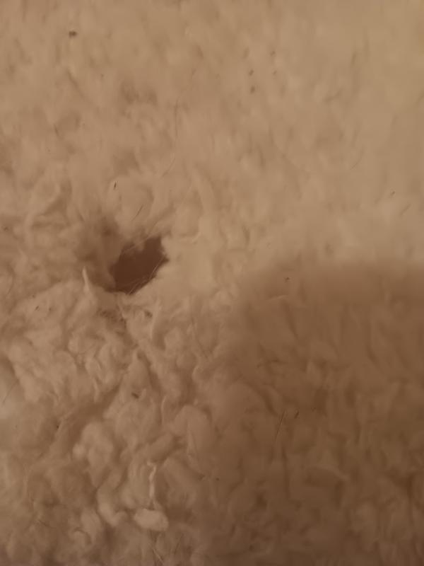 A hole on the cover after a week