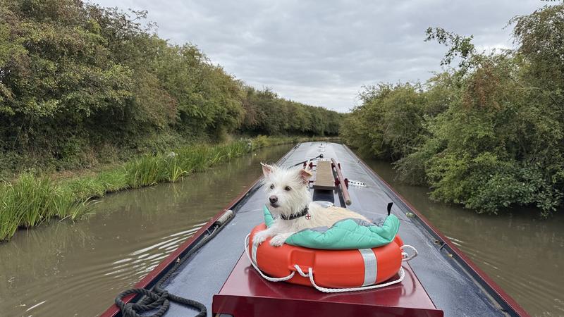 Narrow Boat sky nest