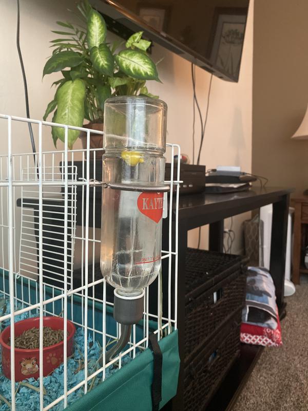 KAYTEE Chew Proof Small Pet Water Bottle, 12oz bottle