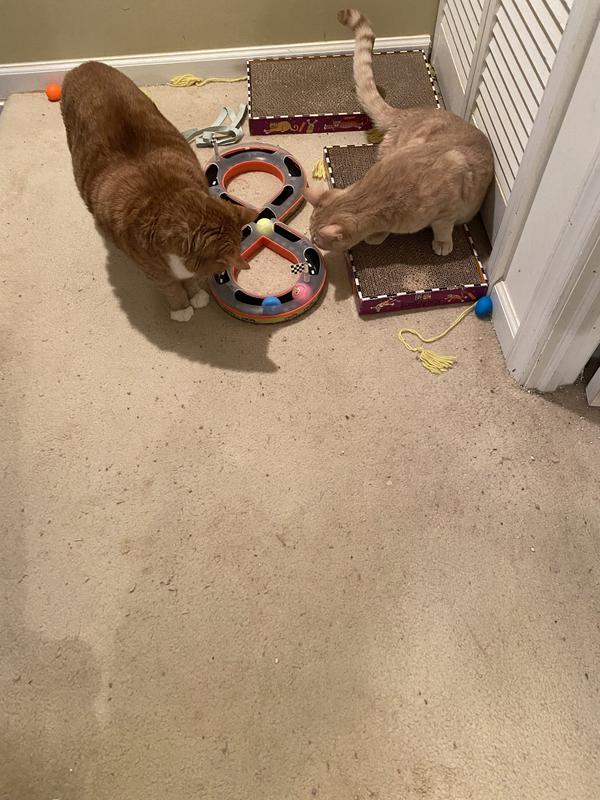 FUN With A Capital F!