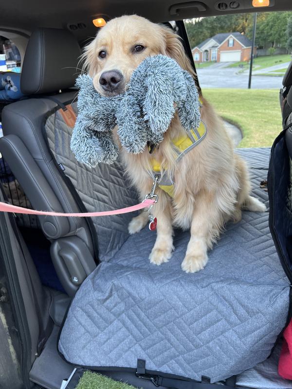 "Bunny" saves the day!