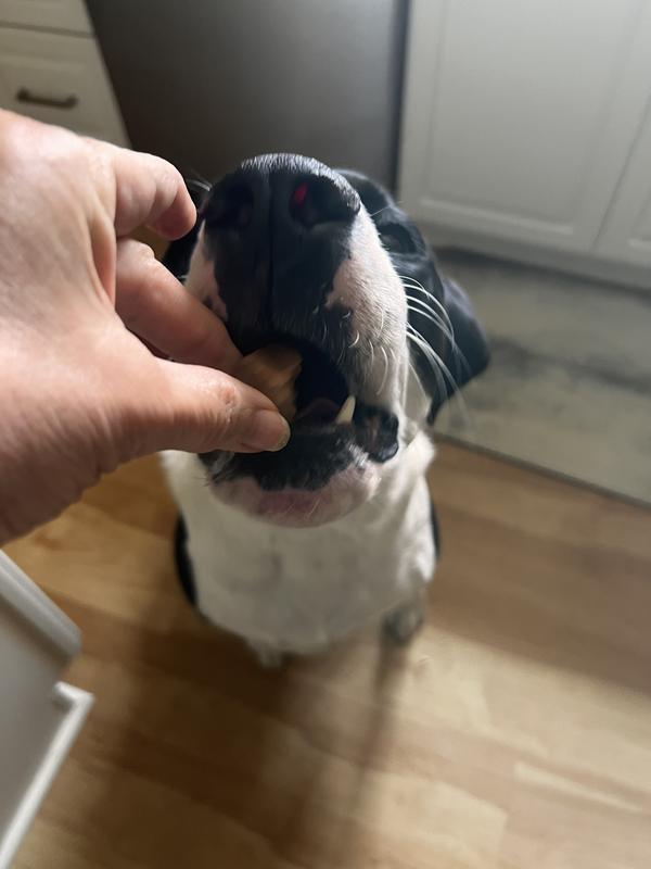 Demonstrate Patience, Sniff Test, Enjoy!