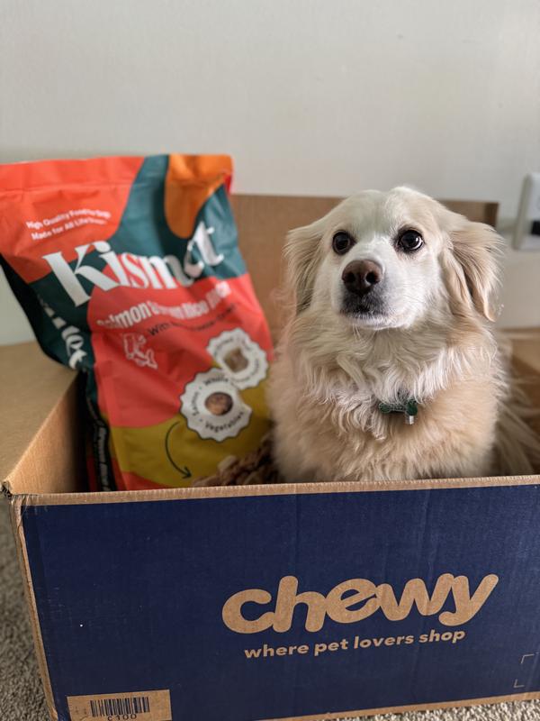 Lily was immediately ready to get right into it!