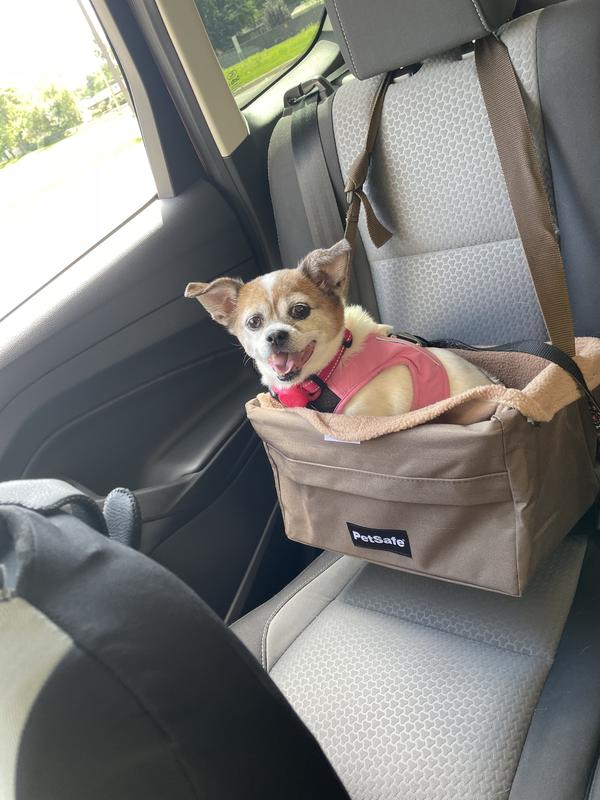 Addie loves her booster car seat!