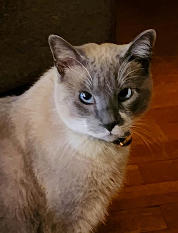 Satin smooth as silk