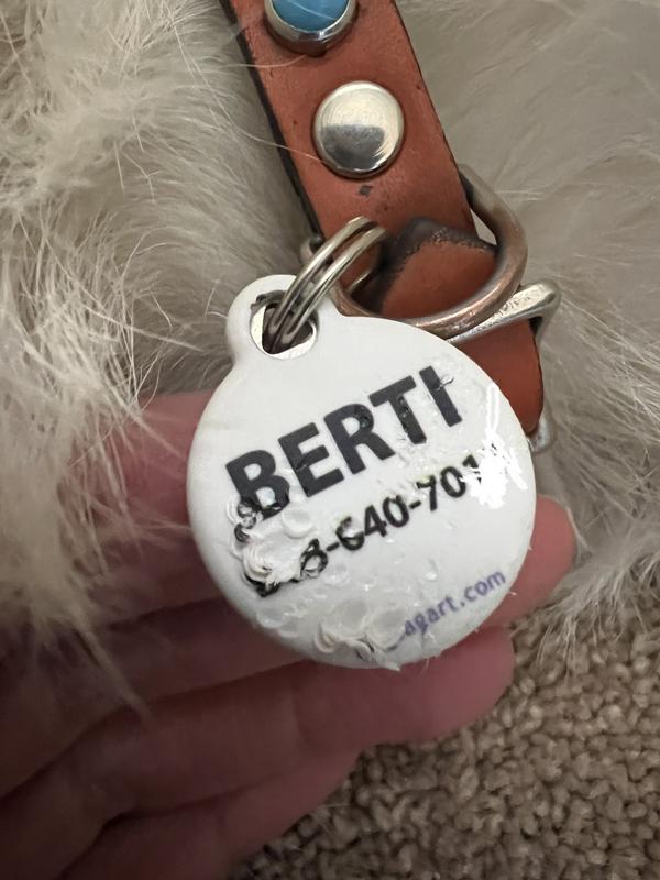 Dogs an chew up with ease