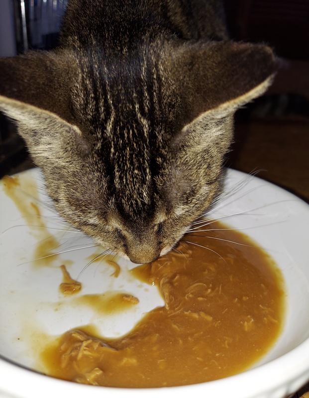 HARTZ Delectables Gravy Non Seafood Chicken Lickable Cat Treats, 1.4oz