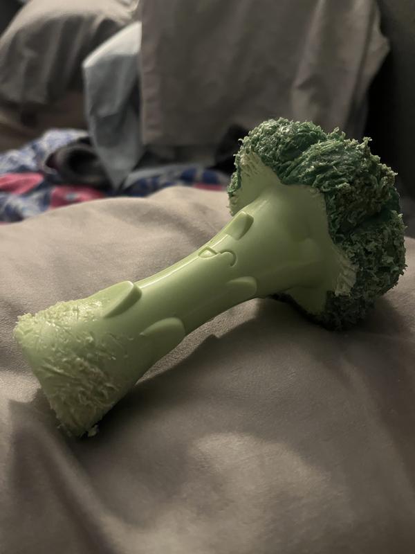 She has been chewing on this for about 2 weeks now.