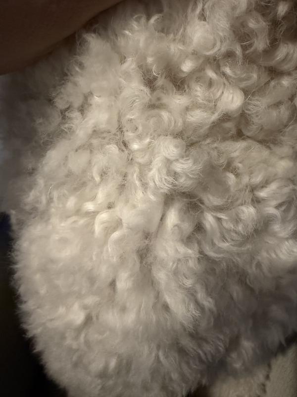 Soft and fluffy after detangler and combing