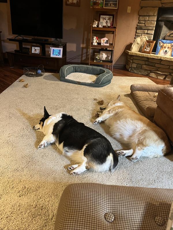 Need a lower cal quality dry chicken rice