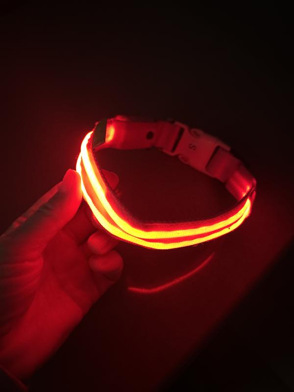 So BRIGHT and sturdy!