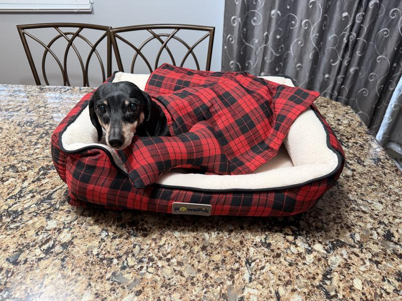 14 lb senior dachshund loves it!