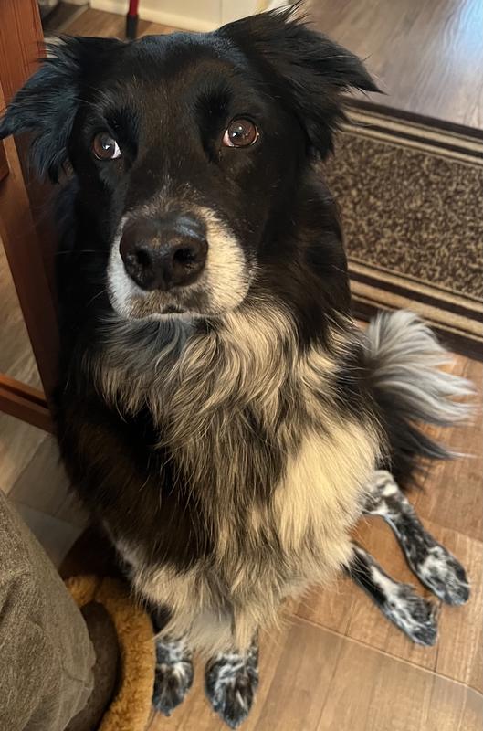 Love me some treats!!