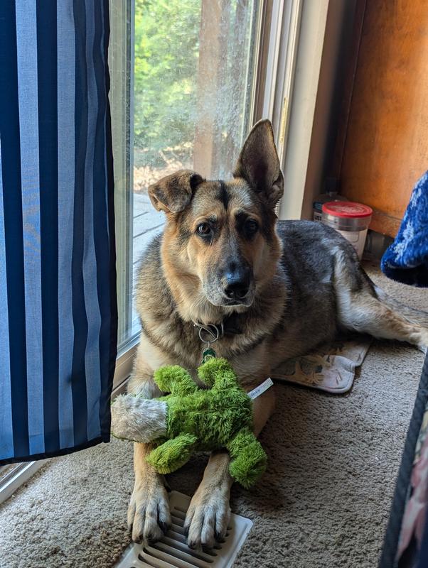 Mila and her friend we call Wally Gator.