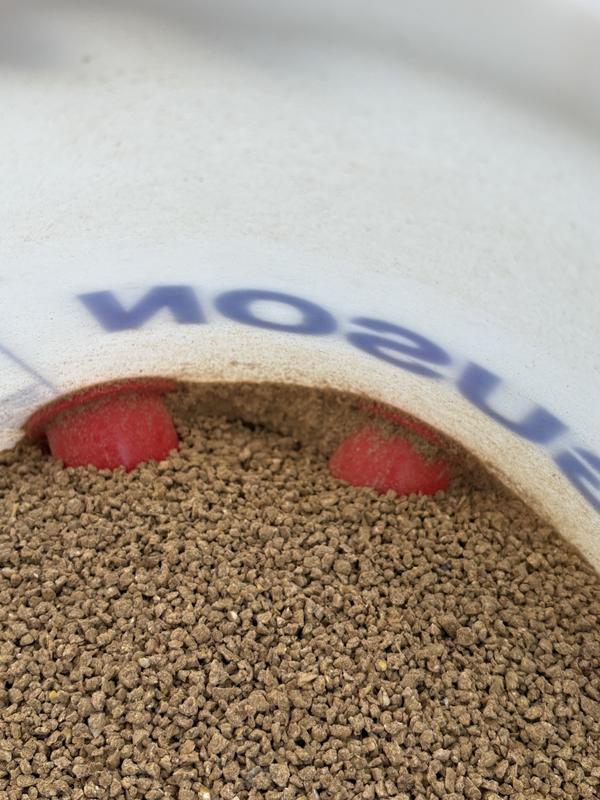 All mites…. No food