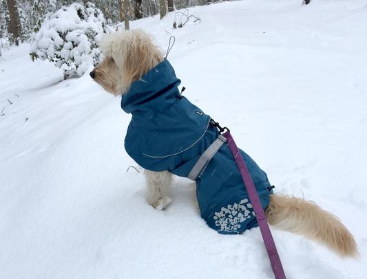 Excellent coverage from neck to tail