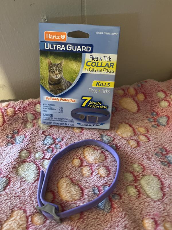 HARTZ UltraGuard Flea Tick Collar for Cats, Collar (7-mos