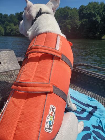 OUTWARD HOUND Granby RipStop Dog Life Jacket, X-Large Bright Orange 