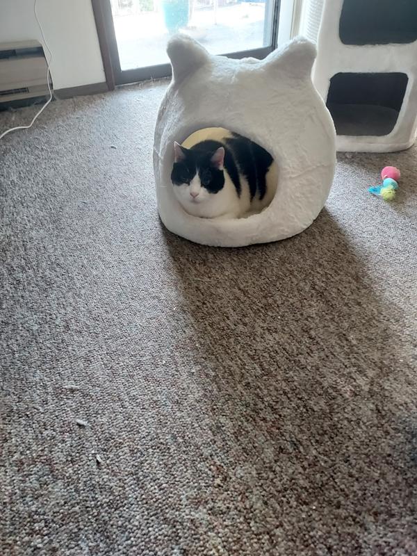 BEST FRIENDS BY SHERI Meow Hut Covered Cat & Dog Bed, Grey, Standard