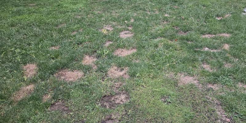 Spots after 6 months of daily use!