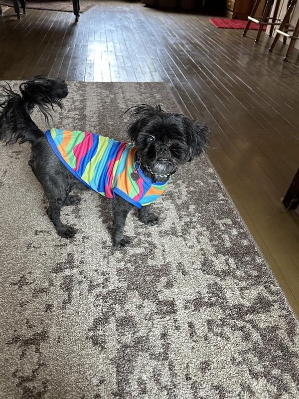 Crazy? Who's crazy? I just am crazy about my new shirt!