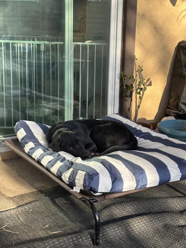 7 month lab for scale :)