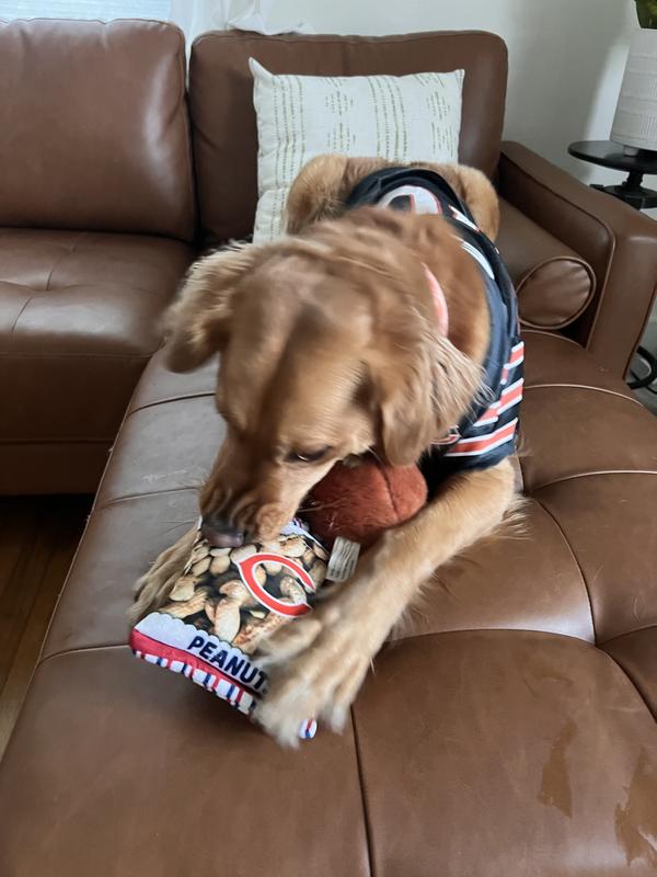 Check out the peanut gallery 🥜