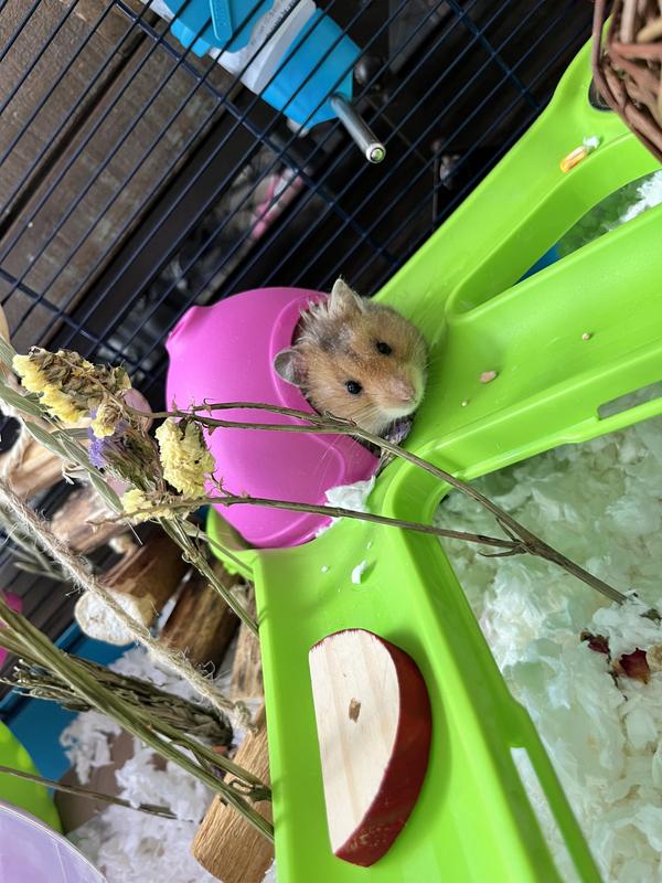 Out of Stock SAVIC Hamster Heaven Metro Hamster Cage