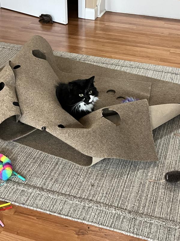 Cat best sale activity rug