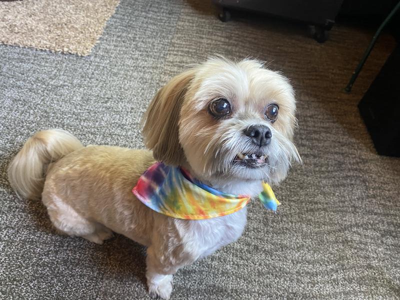 Beautiful Dusty Rose 🌹