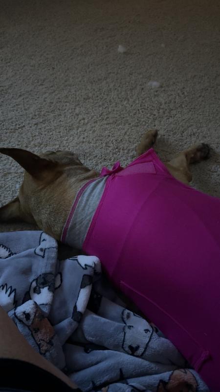 Sleeping during fireworks!