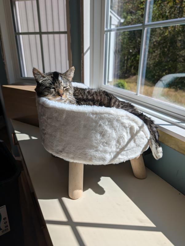 And then we finally found him the perfect bed!