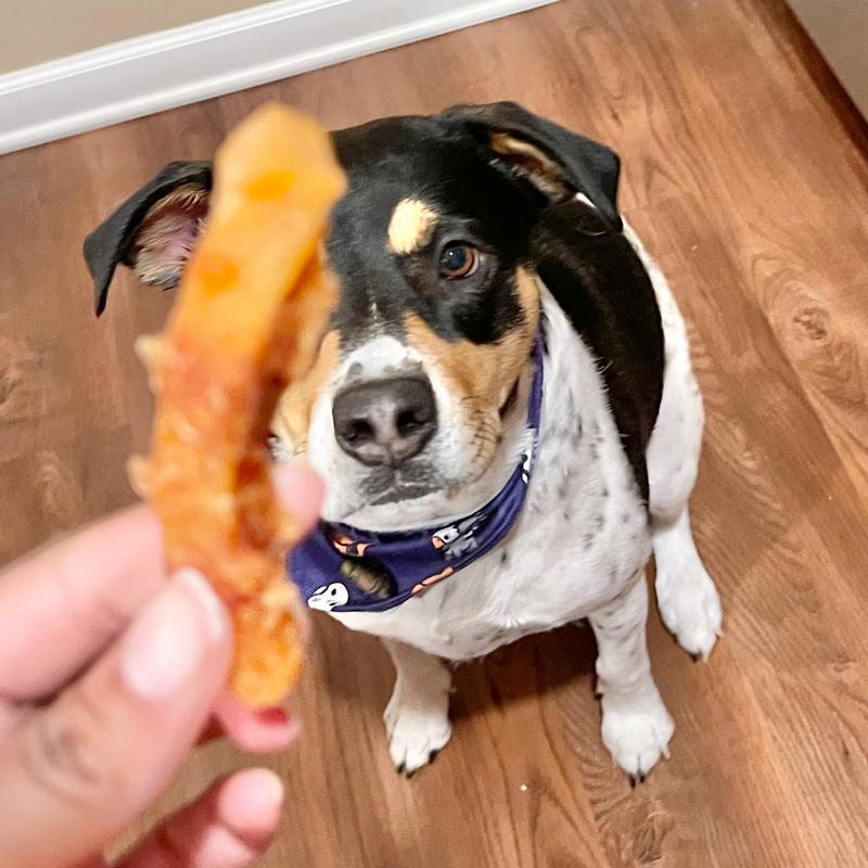 Beloved Pets Sweet Potato Wrapped Natural Grain-Free Meat with Chicken Dog Chew Treats, 10.6-oz bag