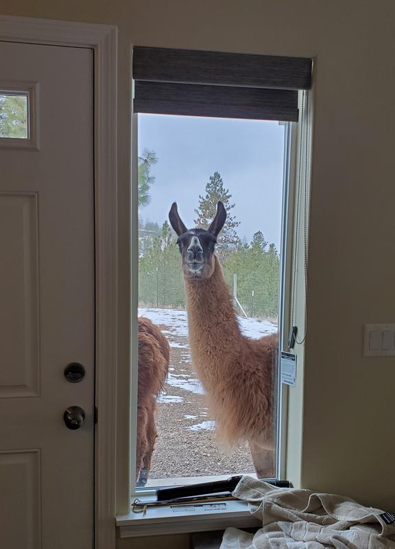 "Hey, it's time for breakfast!"