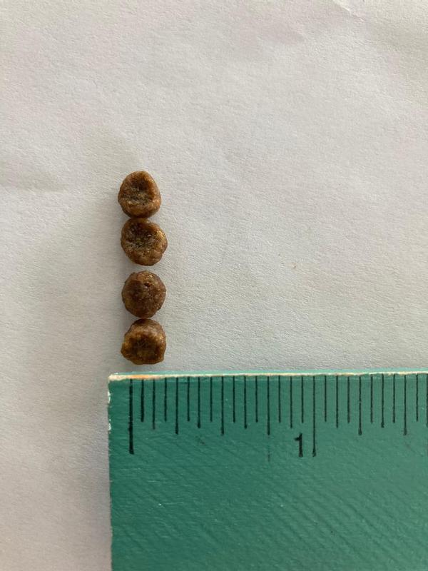 Truly tiny.  Among the smallest kibble out there.