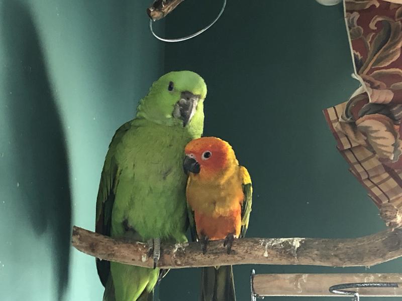 Best buds.